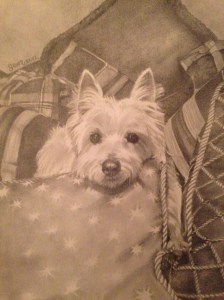 Puppy in the Pillows